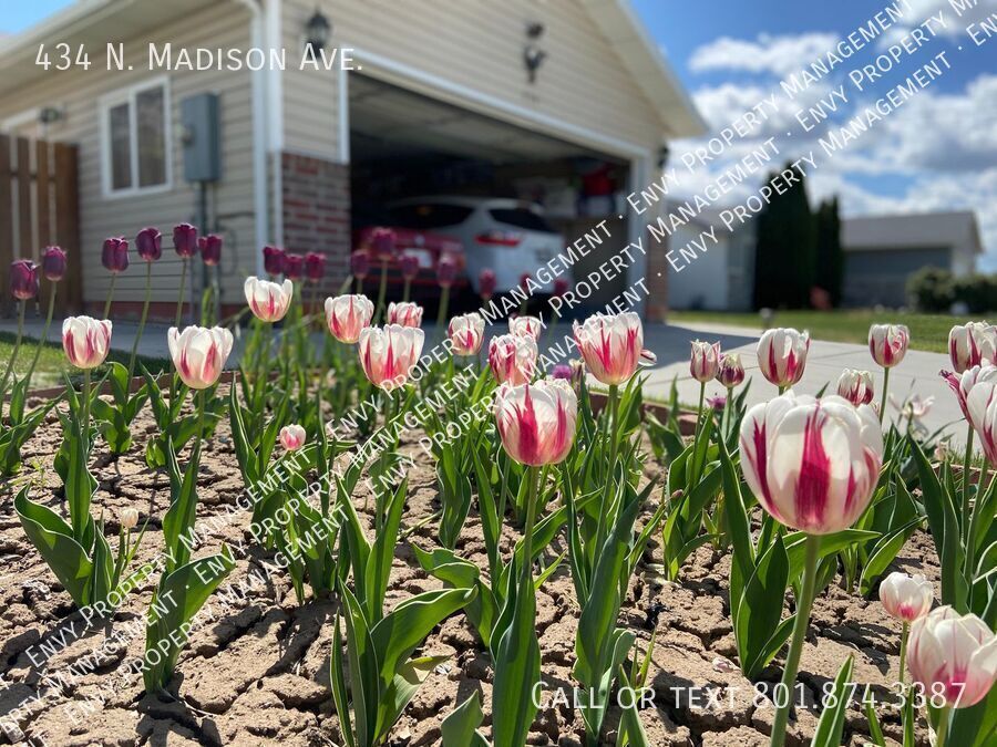 3 Bed - 2.5 Bath, Beautiful Home in Ogden - Fully Fenced Yard! property image