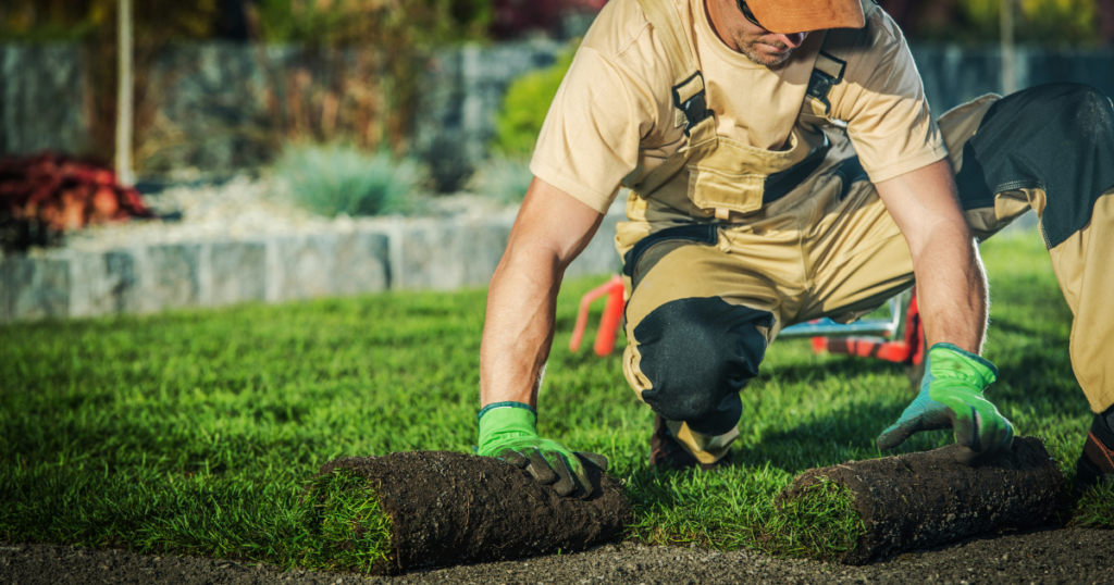 Envy Property Management Landscaping